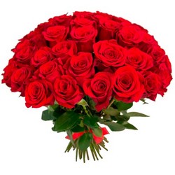№7.......букет 51 красная роза........ (красные розы сорт 51шт,лента.11000р)